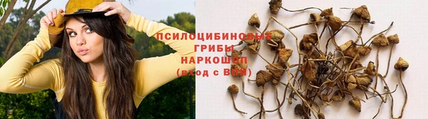 шишки Балабаново