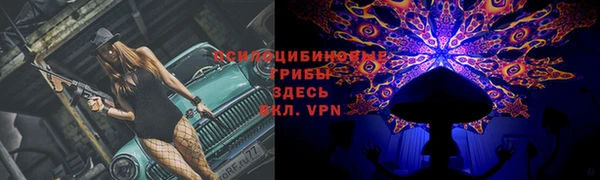 бошки Баксан