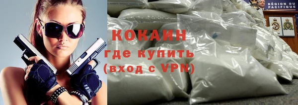 шишки Балабаново
