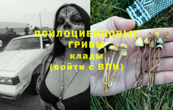 шишки Балабаново