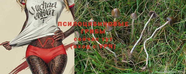шишки Балабаново