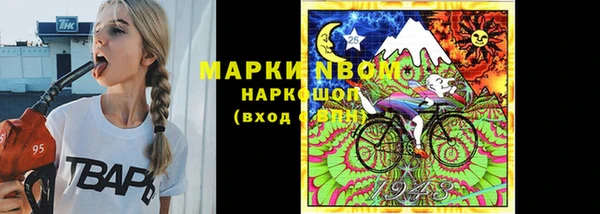 шишки Балабаново