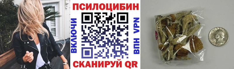кракен маркетплейс  наркотики  Гудермес  Псилоцибиновые грибы мицелий 